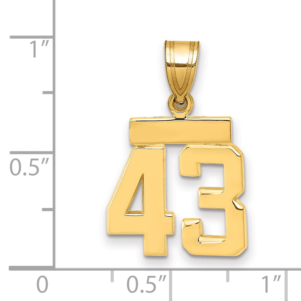 10k Small Polished Number 43 Charm
