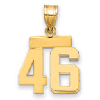 14k Small Polished Number 46 Charm