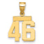 14k Small Polished Number 46 Charm