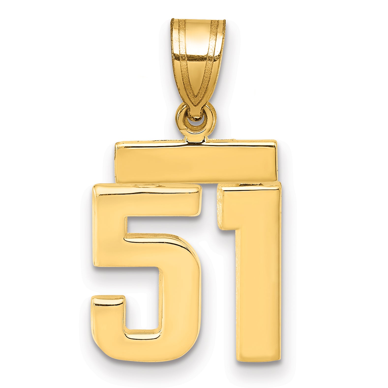 14k Small Polished Number 51 Charm Main image