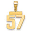 14k Small Polished Number 57 Charm