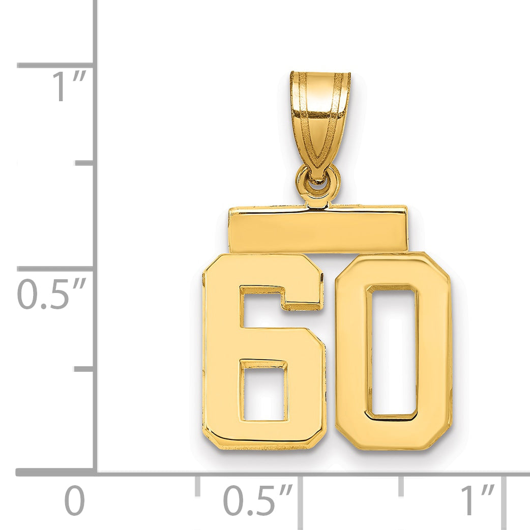 14k Small Polished Number 60 Charm