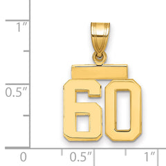 14k Small Polished Number 60 Charm