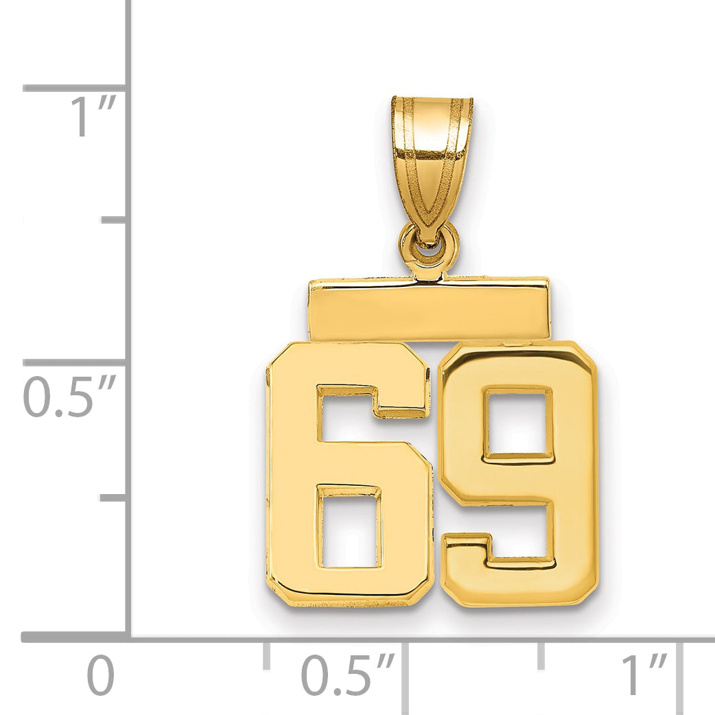 14k Small Polished Number 69 Charm