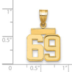 10k Small Polished Number 69 Charm