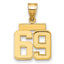 14k Small Polished Number 69 Charm