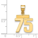 14k Small Polished Number 75 Charm