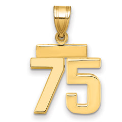 14k Small Polished Number 75 Charm