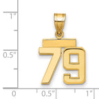 10k Small Polished Number 79 Charm