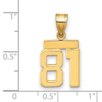 10k Small Polished Number 81 Charm