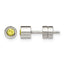 Stainless Steel Polished Yellow Cubic Zirconia Birthstone Stud Earrings for Women