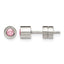 Stainless Steel Polished Pink Cubic Zirconia Birthstone Stud Earrings for Women