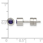 Stainless Steel Polished Blue Cubic Zirconia Birthstone Stud Earrings for Women