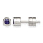 Stainless Steel Polished Blue Cubic Zirconia Birthstone Stud Earrings for Women