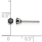 Stainless Steel Polished Round Black Cubic Zirconia Stud Earrings