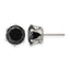 Stainless Steel Polished Round Black Cubic Zirconia Stud Earrings
