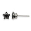 Stainless Steel Polished Star Black Cubic Zirconia Stud Earrings