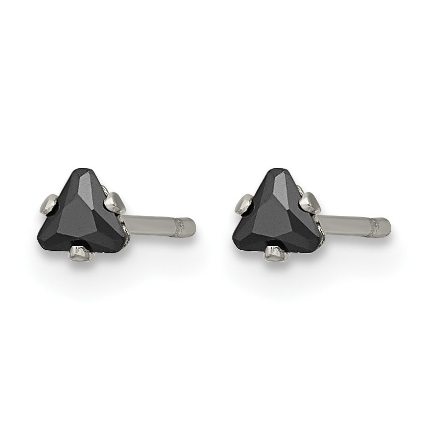 Stainless Steel Polished Black Cubic Zirconia Stud Earrings