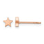 Stainless Steel Rose Gold-Tone Polished Star Button Earrings
