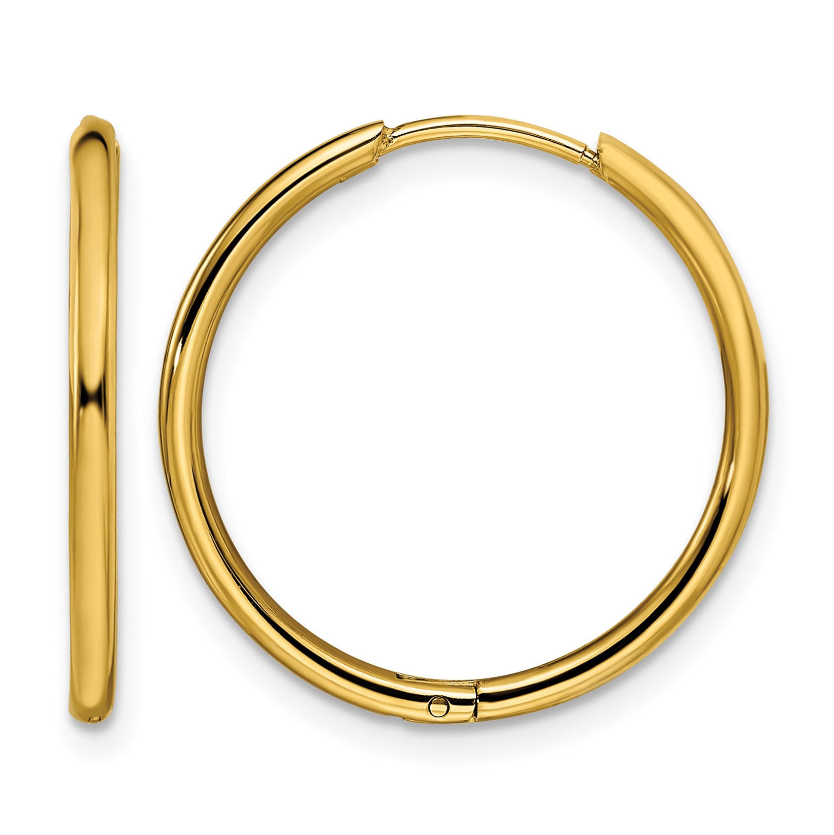 Stainless Steel Gold-Tone Polished Hinged Huggie Hoop Earrings Main image