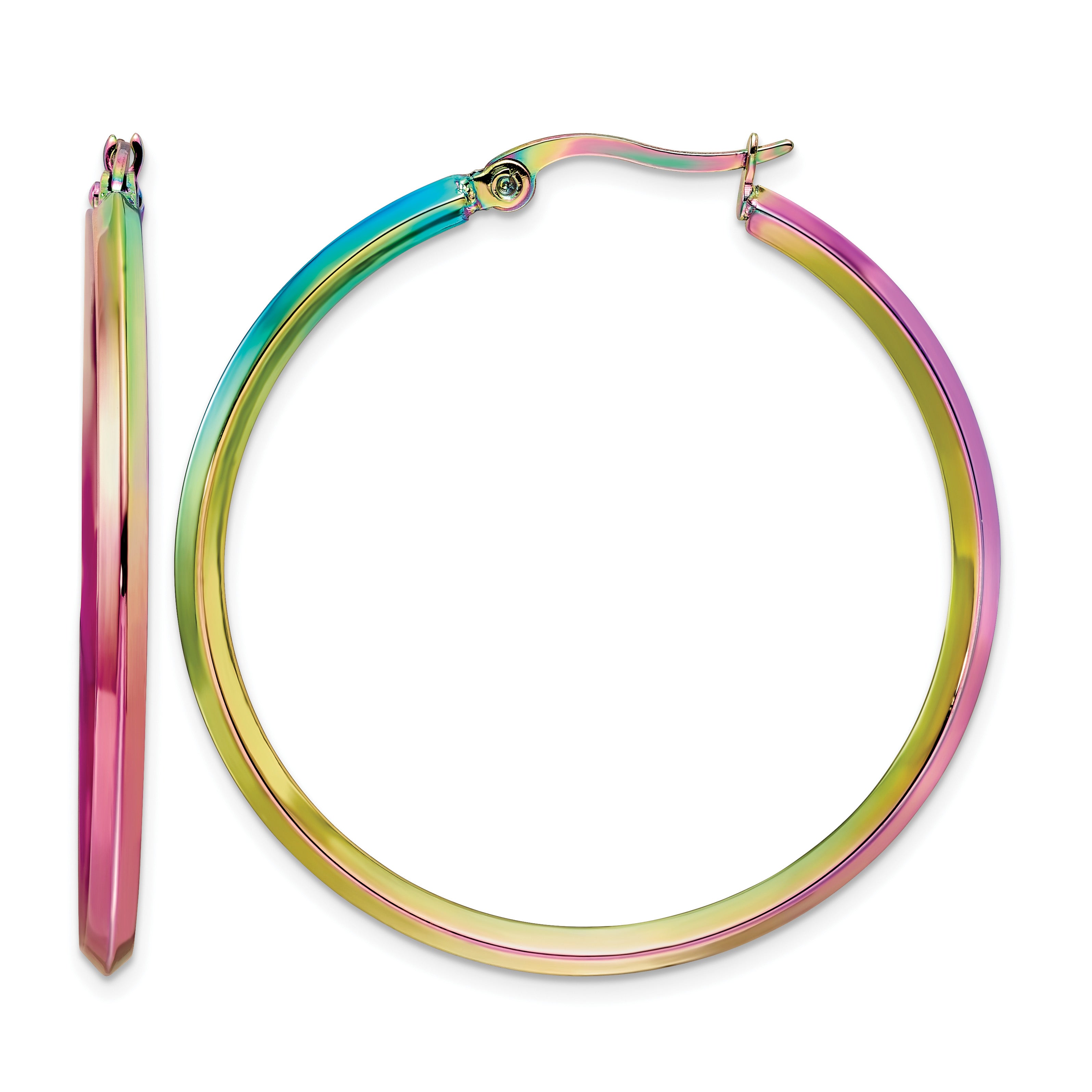 Stainless Steel Multi-Color Polished Hoop Earrings Main image