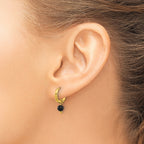 Stainless Steel Gold-Tone Polished Hinged Black Agate Hoop Earrings for Women