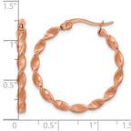 Stainless Steel Gold-Tone Polished Twisted Hoop Earrings for Women