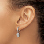 Stainless Steel Polished Hinged Hoop Earrings for Women