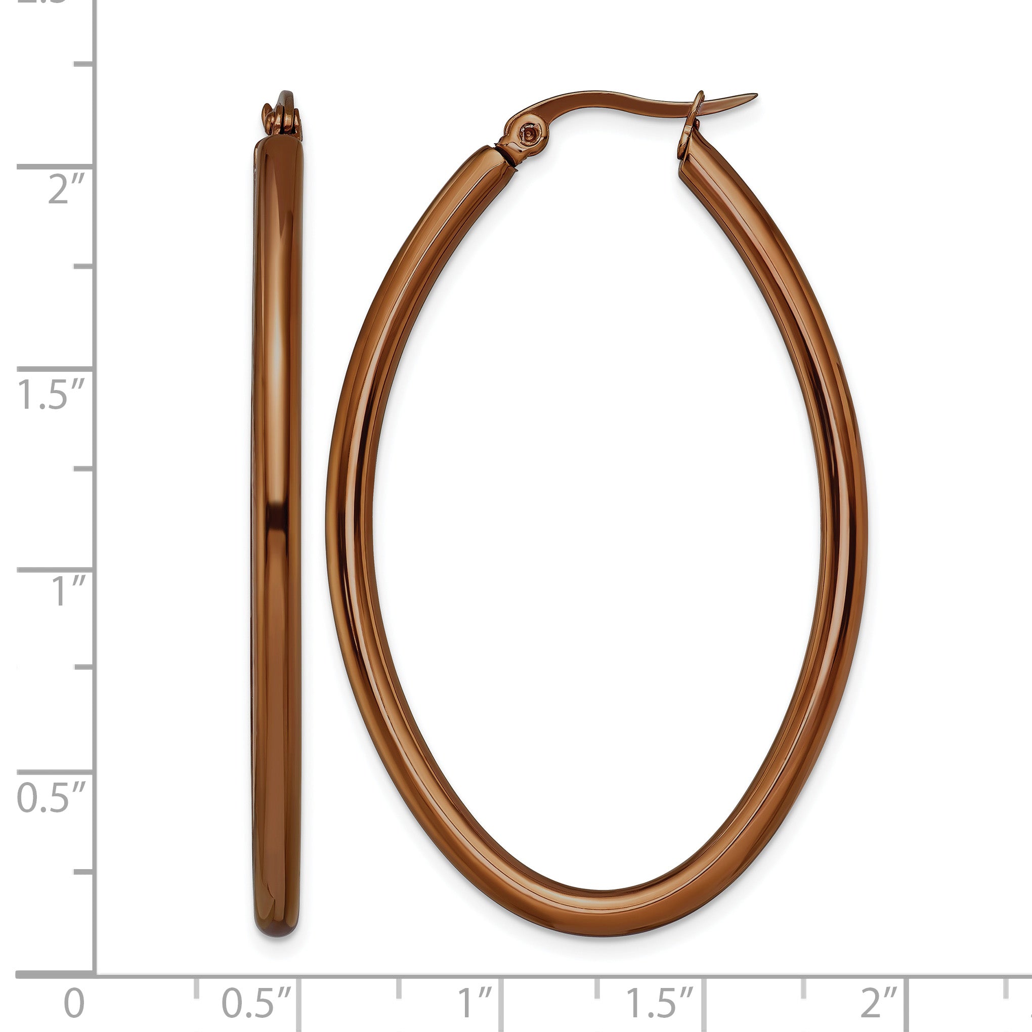 Stainless Steel Brown Polished Oval Hoop Earrings for Women