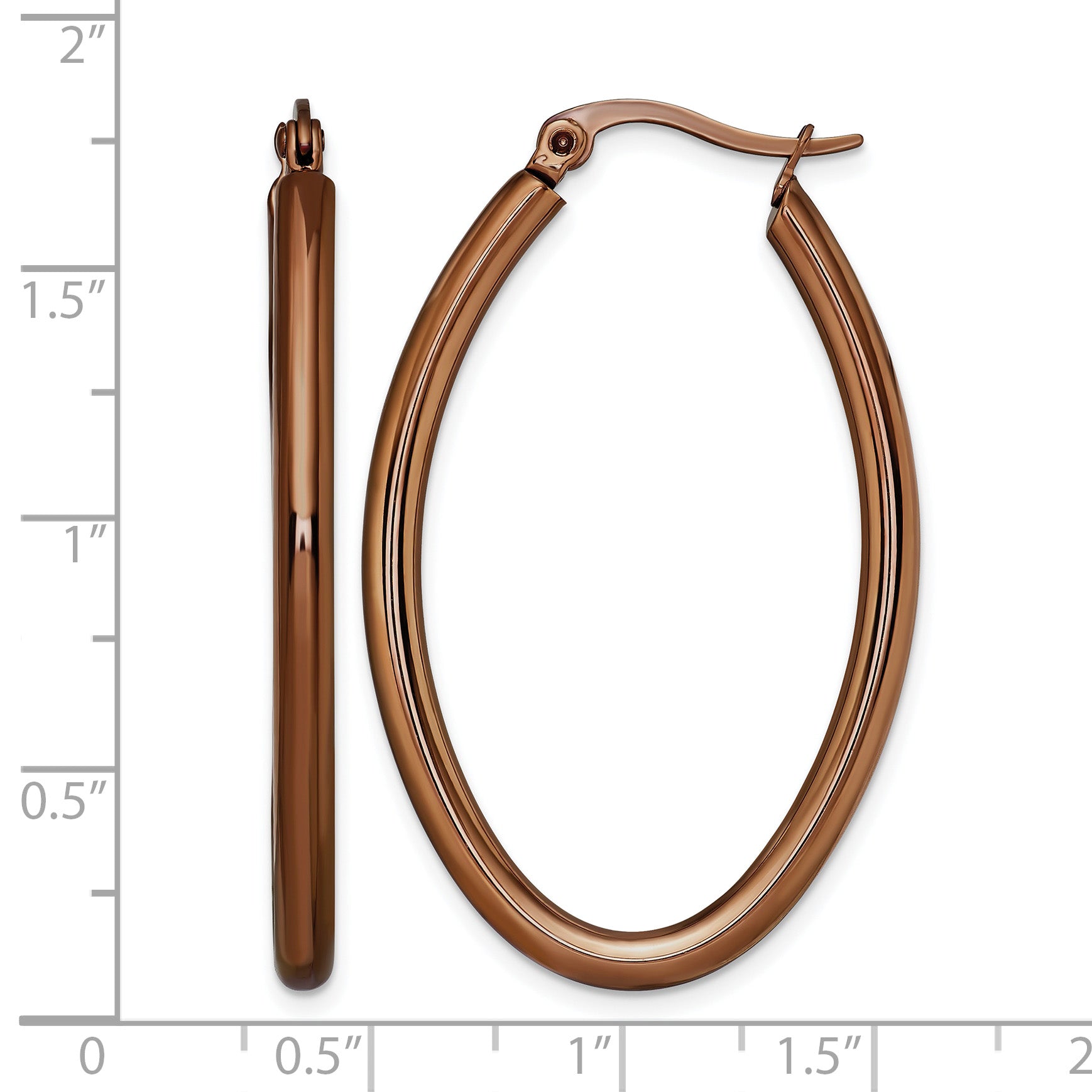 Stainless Steel Brown Polished Oval Hoop Earrings for Women