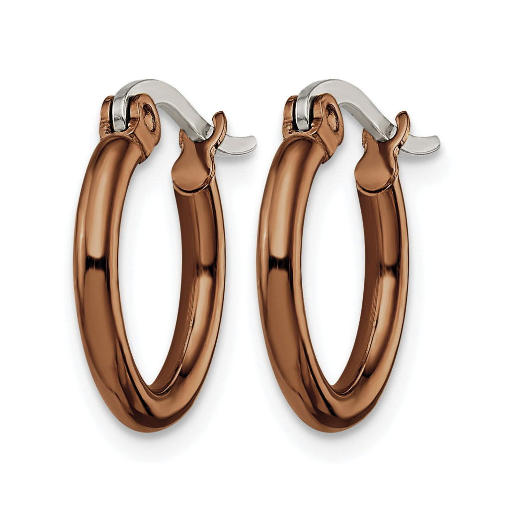 Stainless Steel Brown Polished Hoop Earrings for Women