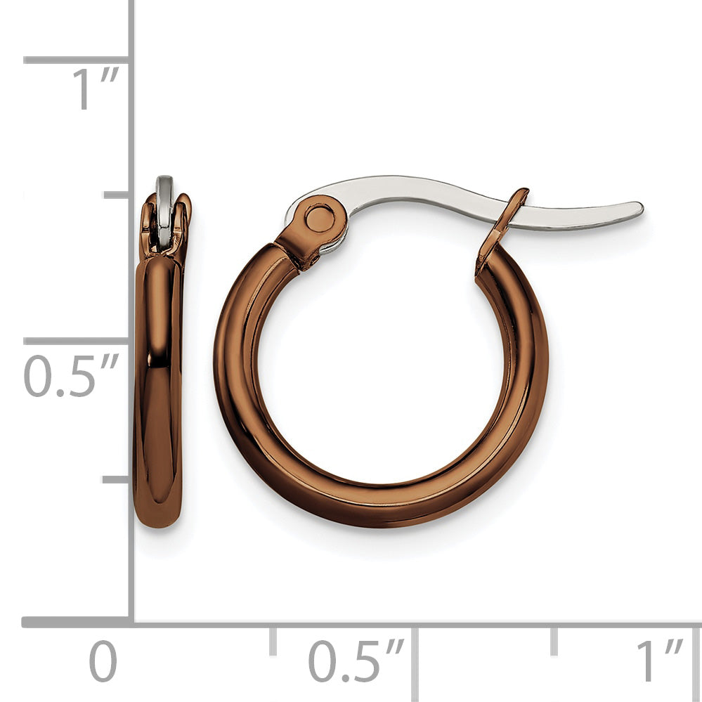 Stainless Steel Brown Polished Hoop Earrings for Women