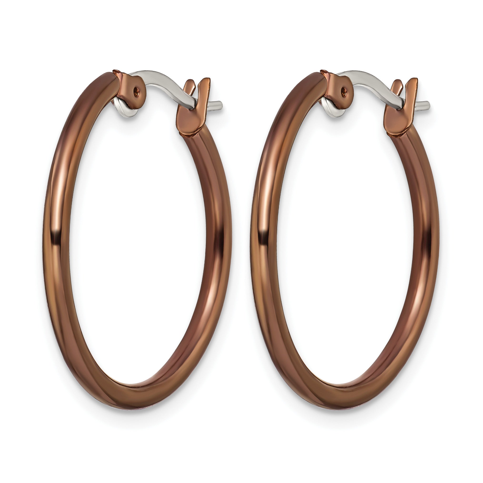 Stainless Steel Brown Polished Hoop Earrings for Women