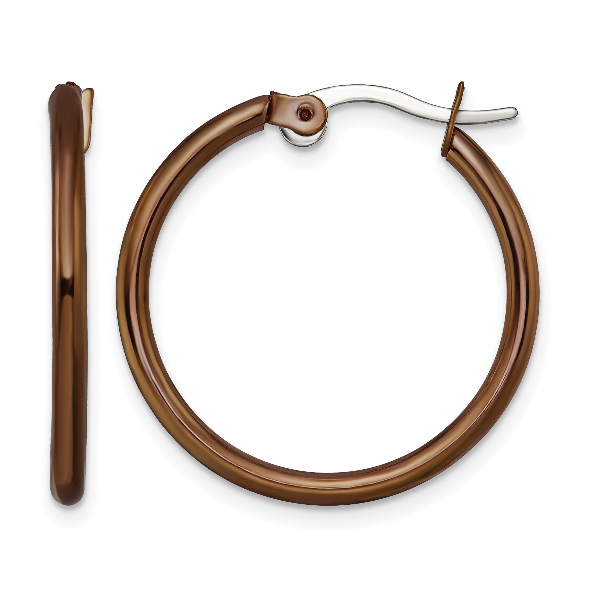 Stainless Steel Brown Polished Hoop Earrings for Women Main image