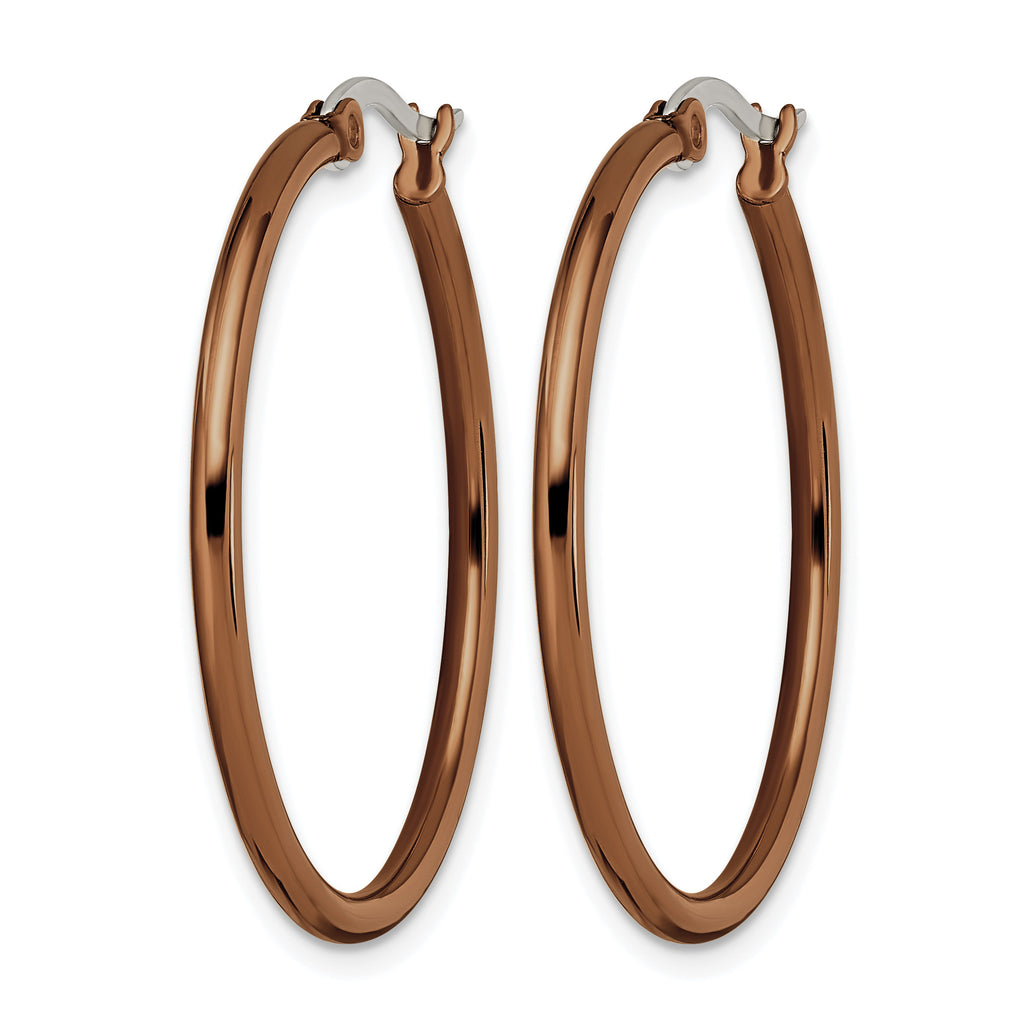 Stainless Steel Brown Polished Hoop Earrings for Women