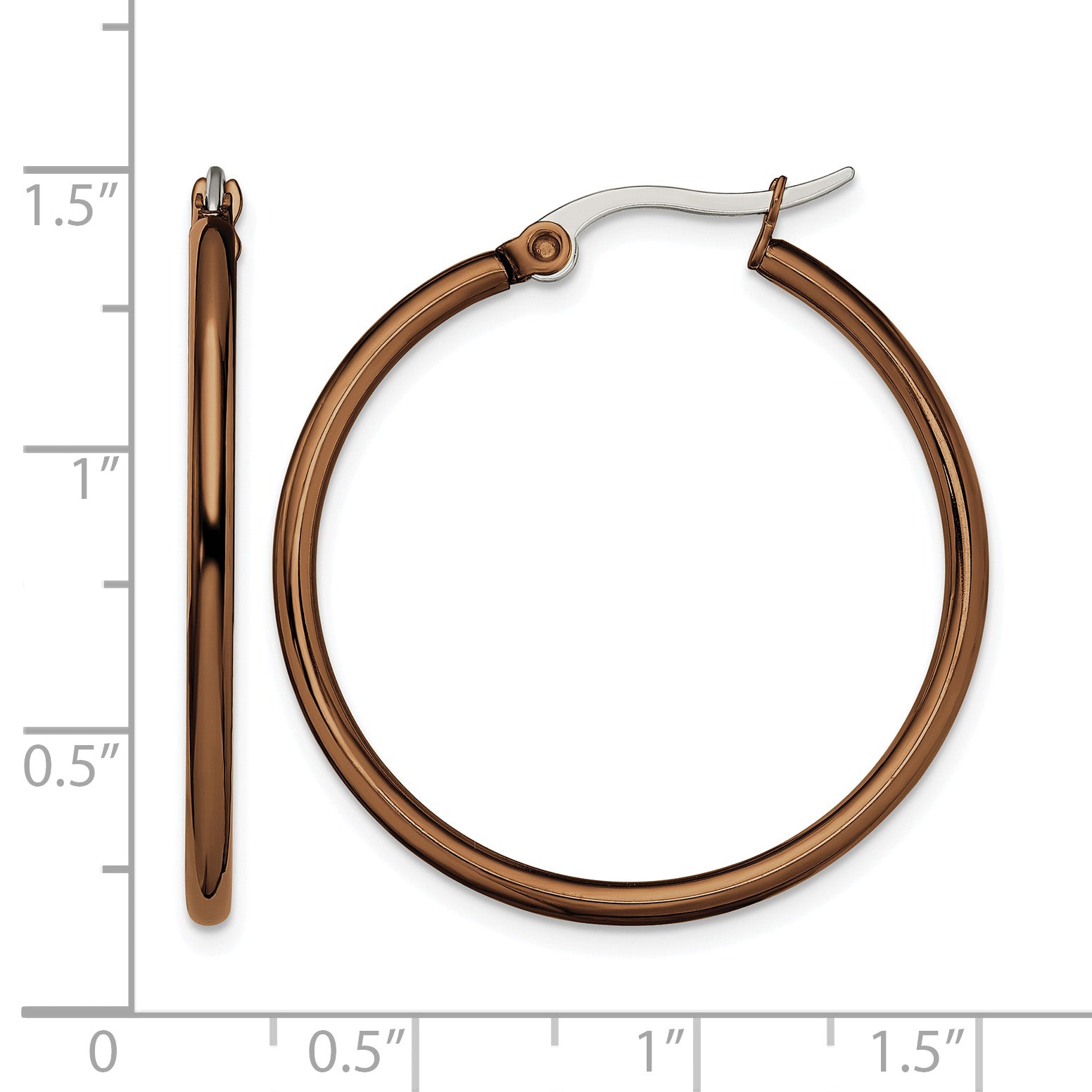 Stainless Steel Brown Polished Hoop Earrings for Women
