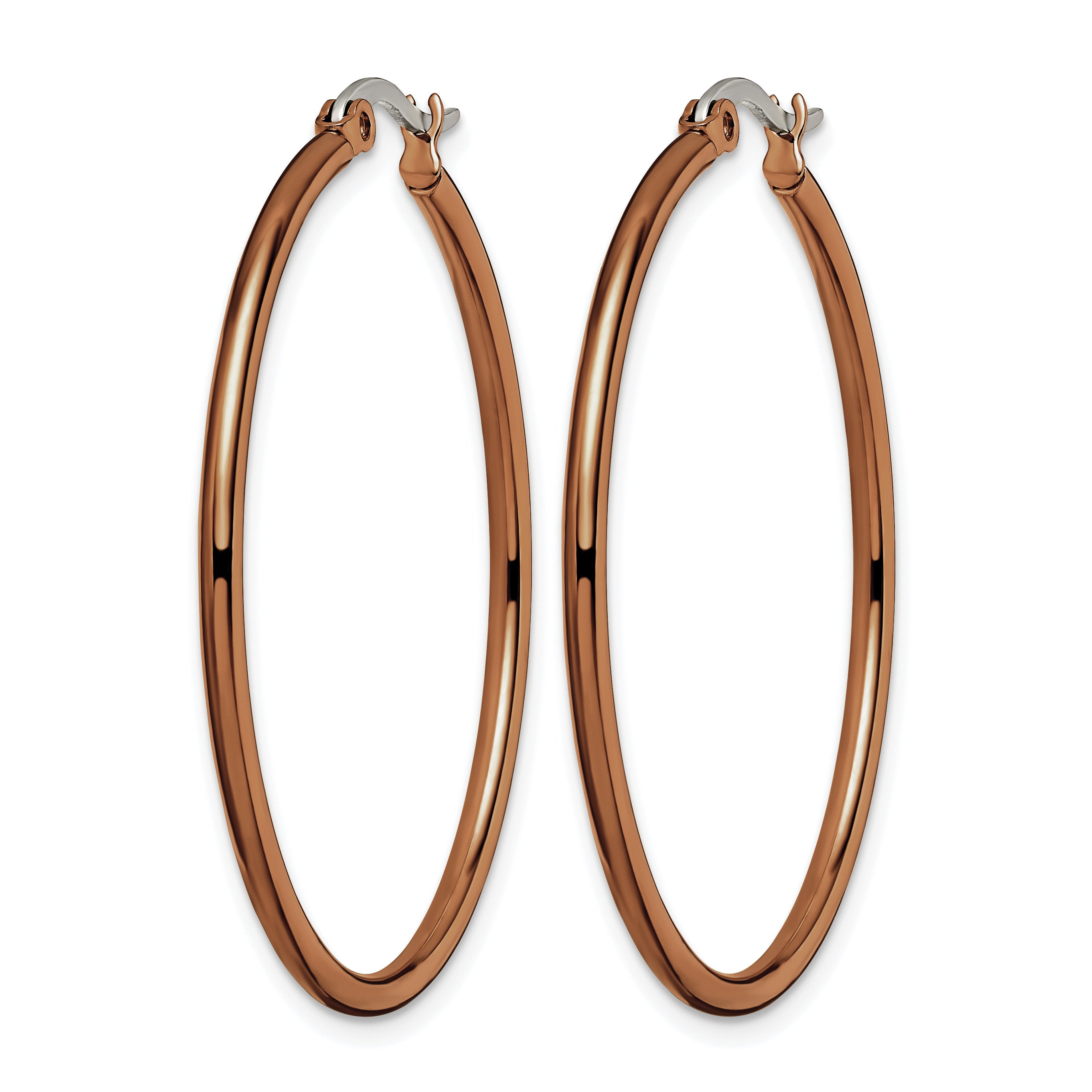 Stainless Steel Brown Polished Hoop Earrings for Women Secondary image