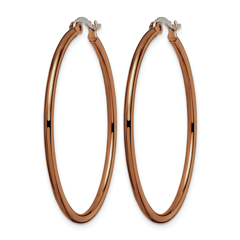 Stainless Steel Brown Polished Hoop Earrings for Women