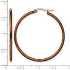 Stainless Steel Brown Polished Hoop Earrings for Women