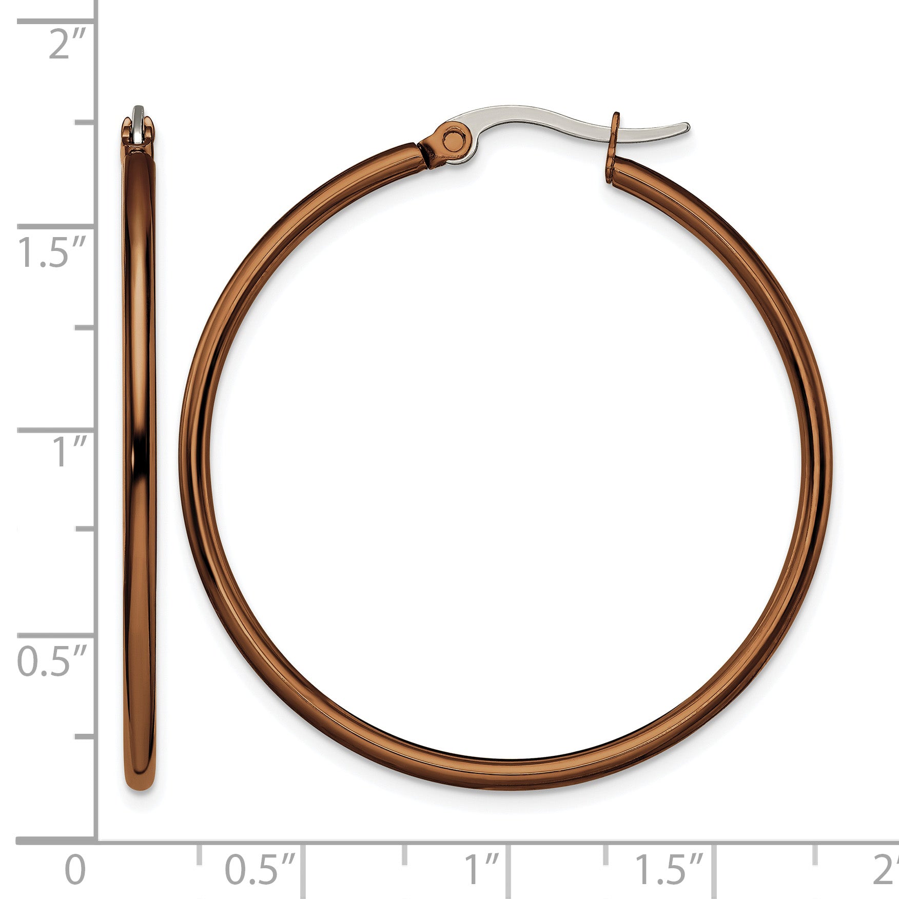 Stainless Steel Brown Polished Hoop Earrings for Women