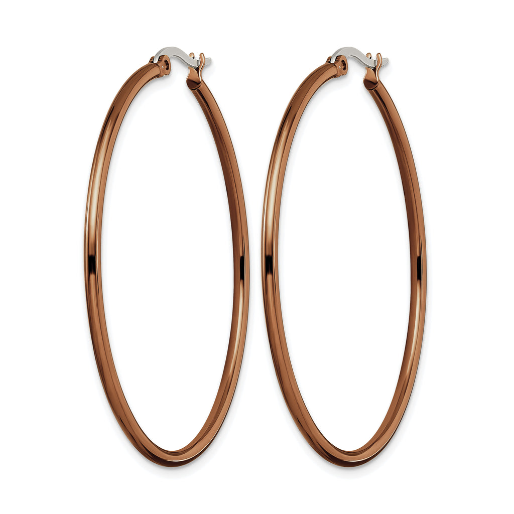 Stainless Steel Brown Polished Hoop Earrings for Women