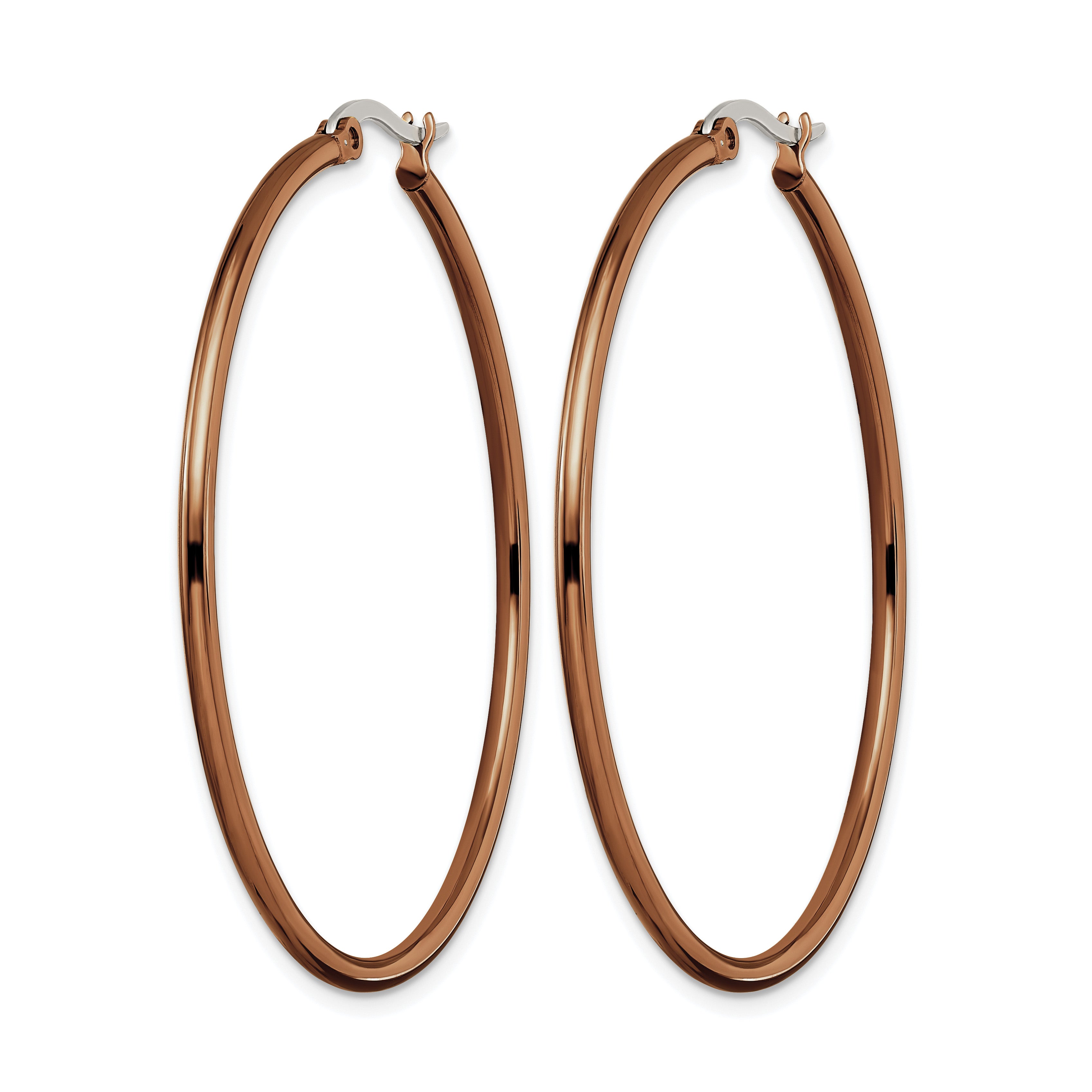 Stainless Steel Brown Polished Hoop Earrings for Women