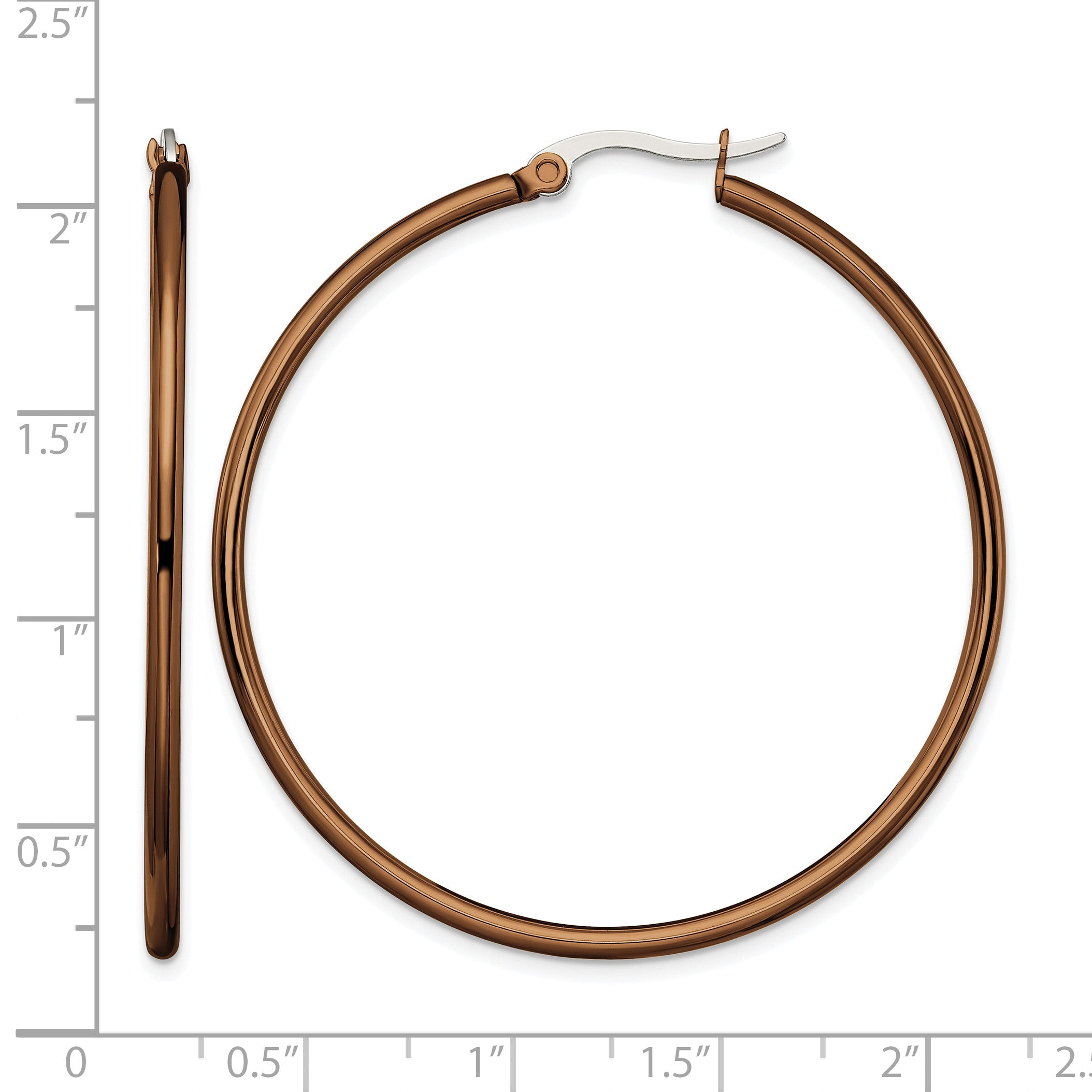 Stainless Steel Brown Polished Hoop Earrings for Women