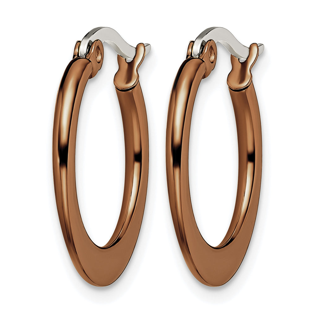 Stainless Steel Brown Polished Hoop Earrings for Women