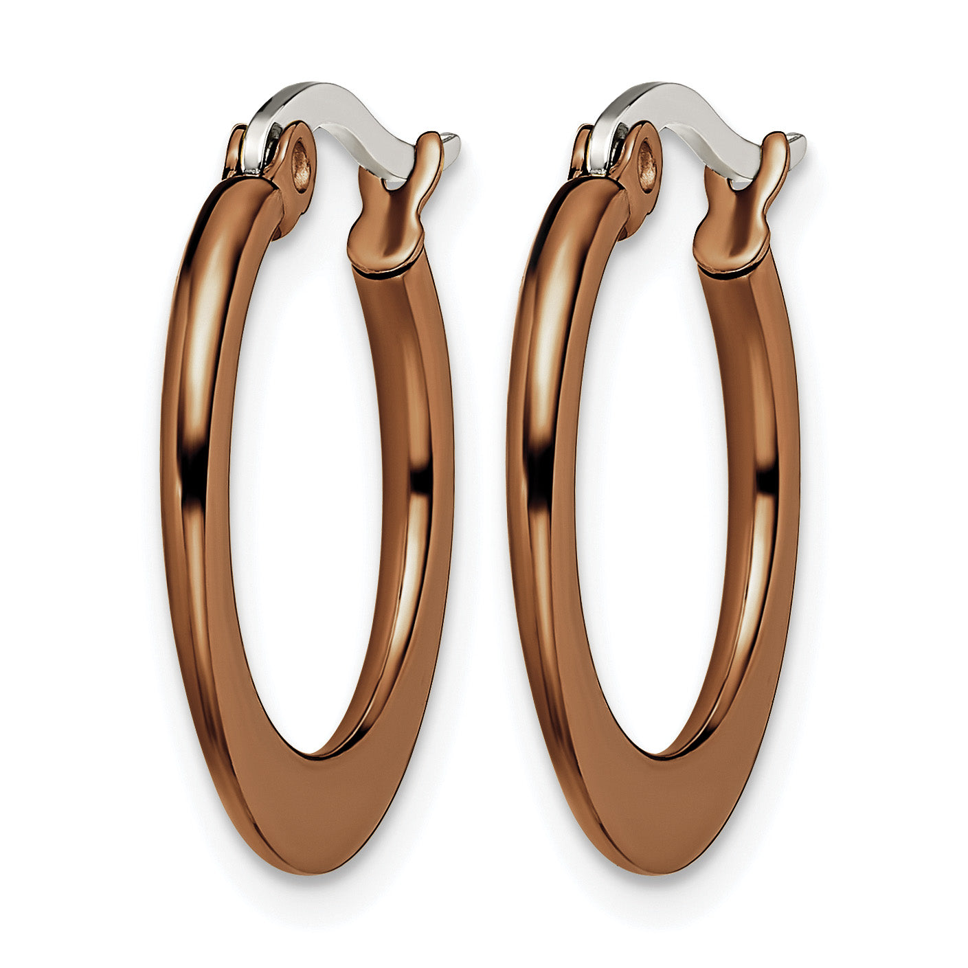 Stainless Steel Brown Polished Hoop Earrings for Women