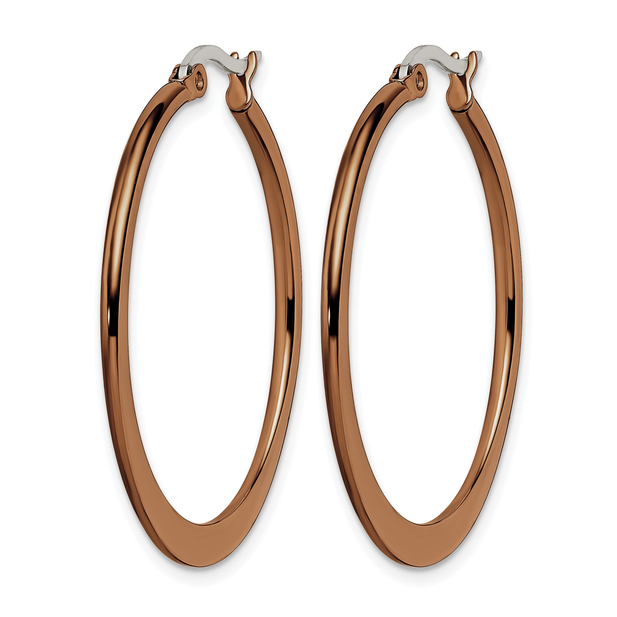 Stainless Steel Brown Polished Hoop Earrings for Women Secondary image