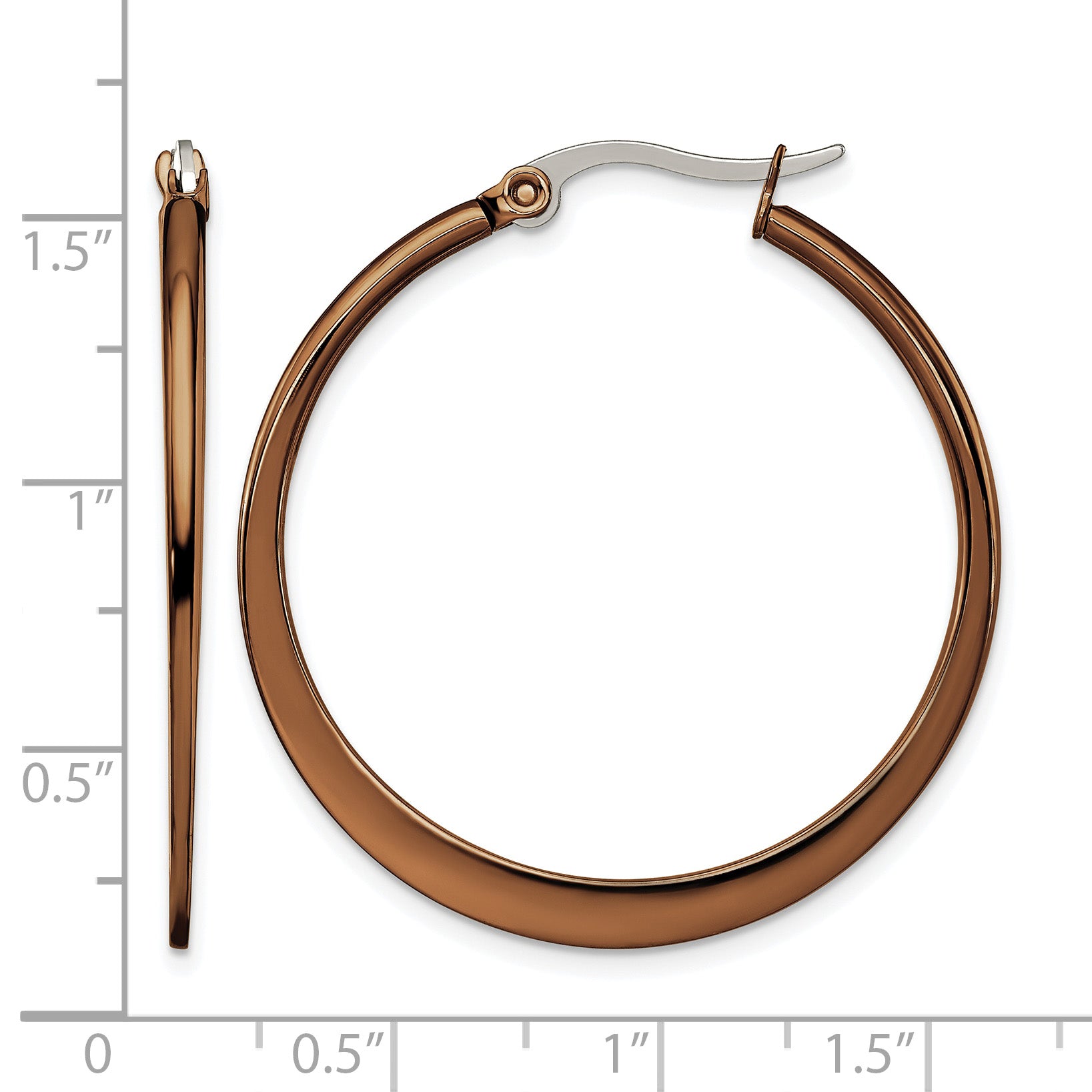 Stainless Steel Brown Polished Hoop Earrings for Women