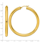 Stainless Steel Gold-Tone Polished Hoop Earrings for Women