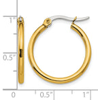 Stainless Steel Gold-Tone Polished Hoop Earrings for Women