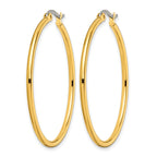 Stainless Steel Gold-Tone Polished Hoop Earrings for Women